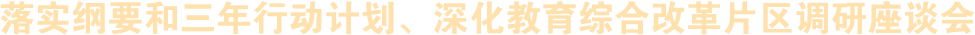 落實綱要和三年行動計劃、深化教育綜合改革片區調研座談會